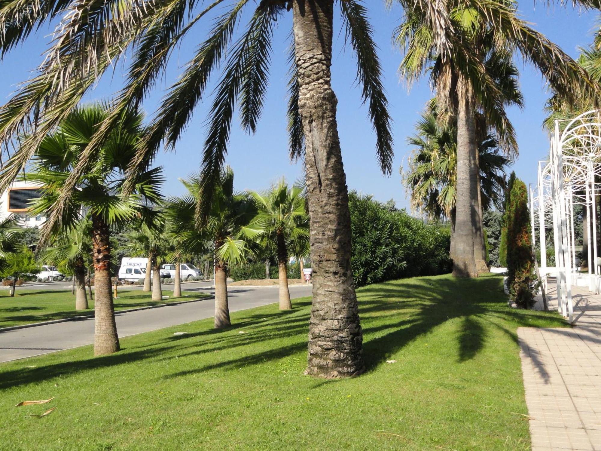 Cannes Terrace Beach Front & Sea View Apartment Exterior photo